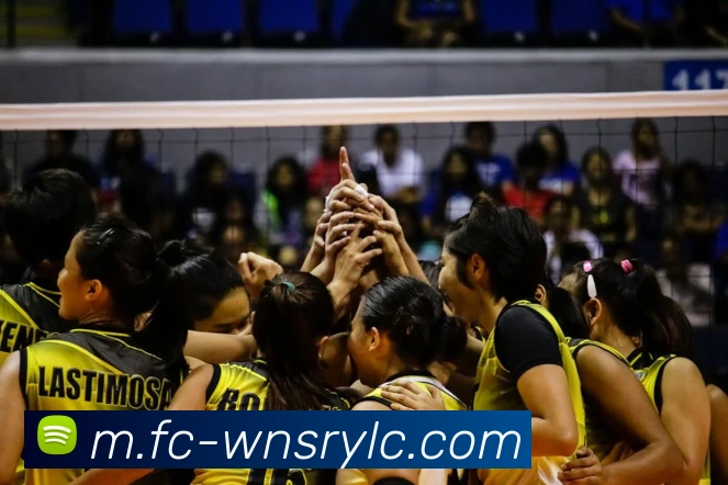 威尼斯人官网APP 封面图